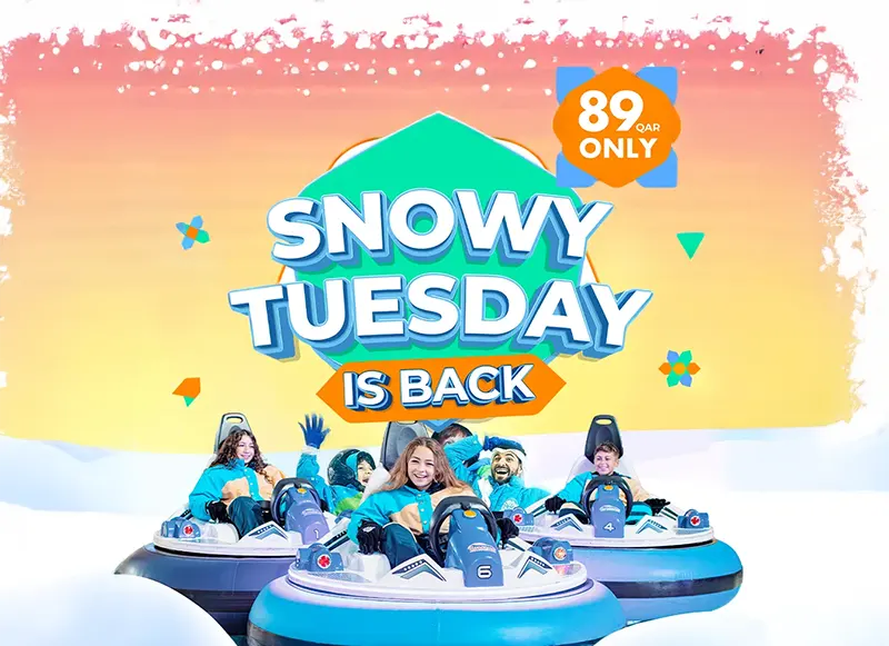Snowy Tuesday